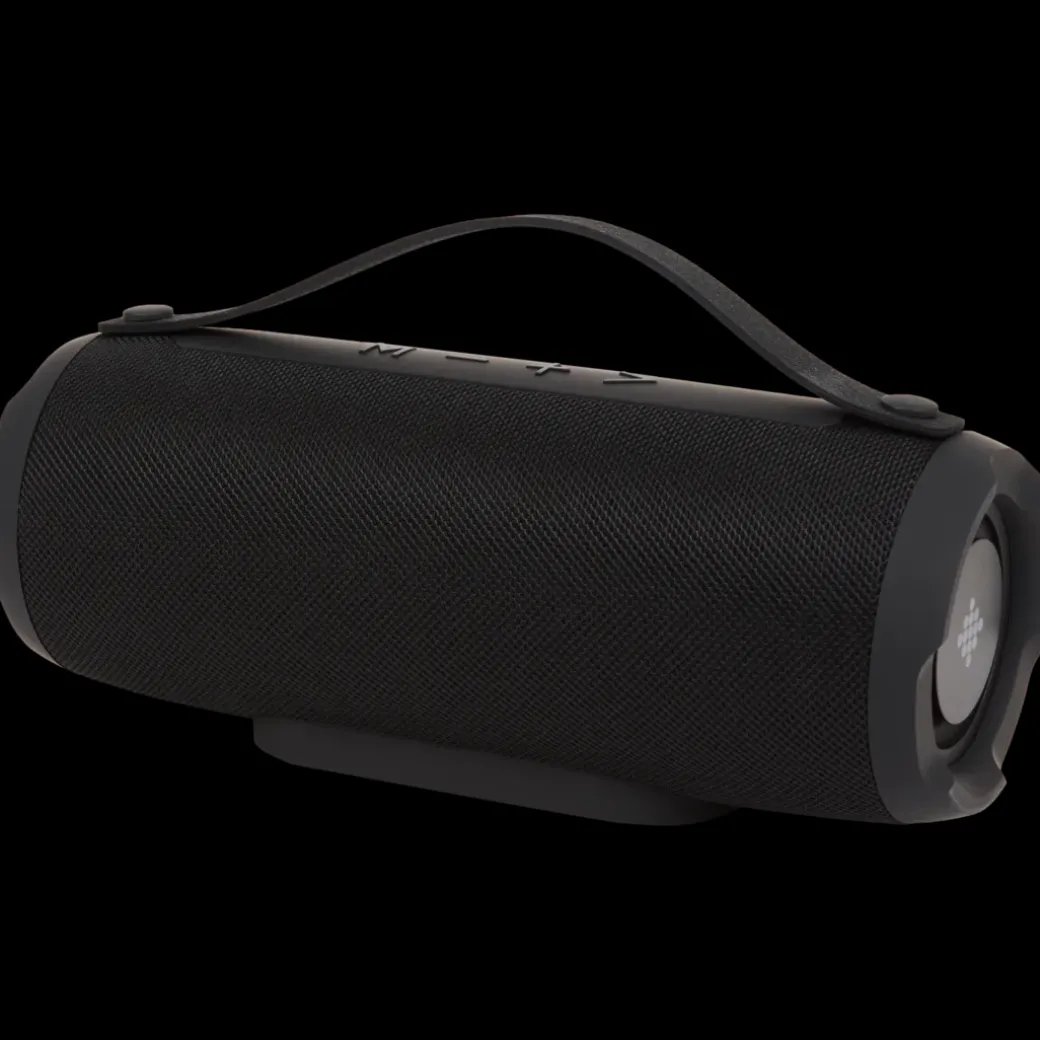 Intempo draadloze speaker | Action NL