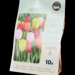 Tulpenbollen | Action NL